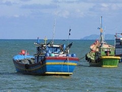 Fishing boats in Thua Thien Hue Province's Thuan An seaport. (File photo) Fishing boats in Thua Thien Hue Province's Thuan An seaport. (File photo)